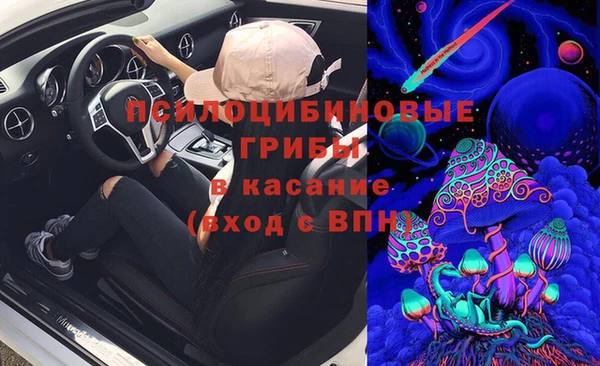 ГАЛЛЮЦИНОГЕННЫЕ ГРИБЫ Абинск