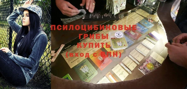 ГАЛЛЮЦИНОГЕННЫЕ ГРИБЫ Абинск