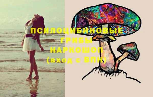 меф Пересвет