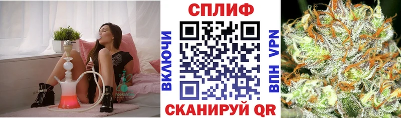omg как зайти  Камышлов  Бошки марихуана планчик  наркотики 